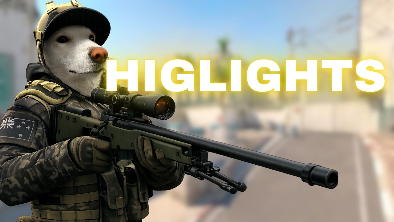 HIGLIGHTS DE UM NEWBA