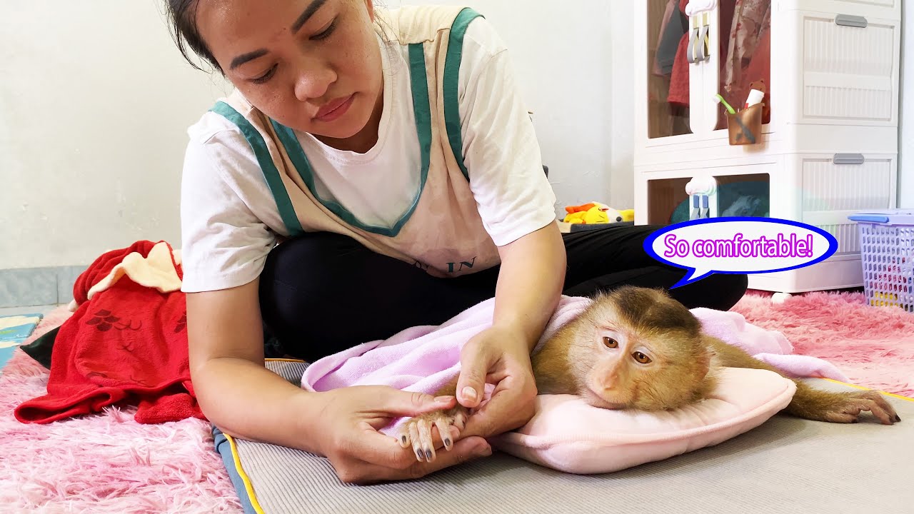 Monkey Lyly receives special care and full love from her mother after a long tiring day.