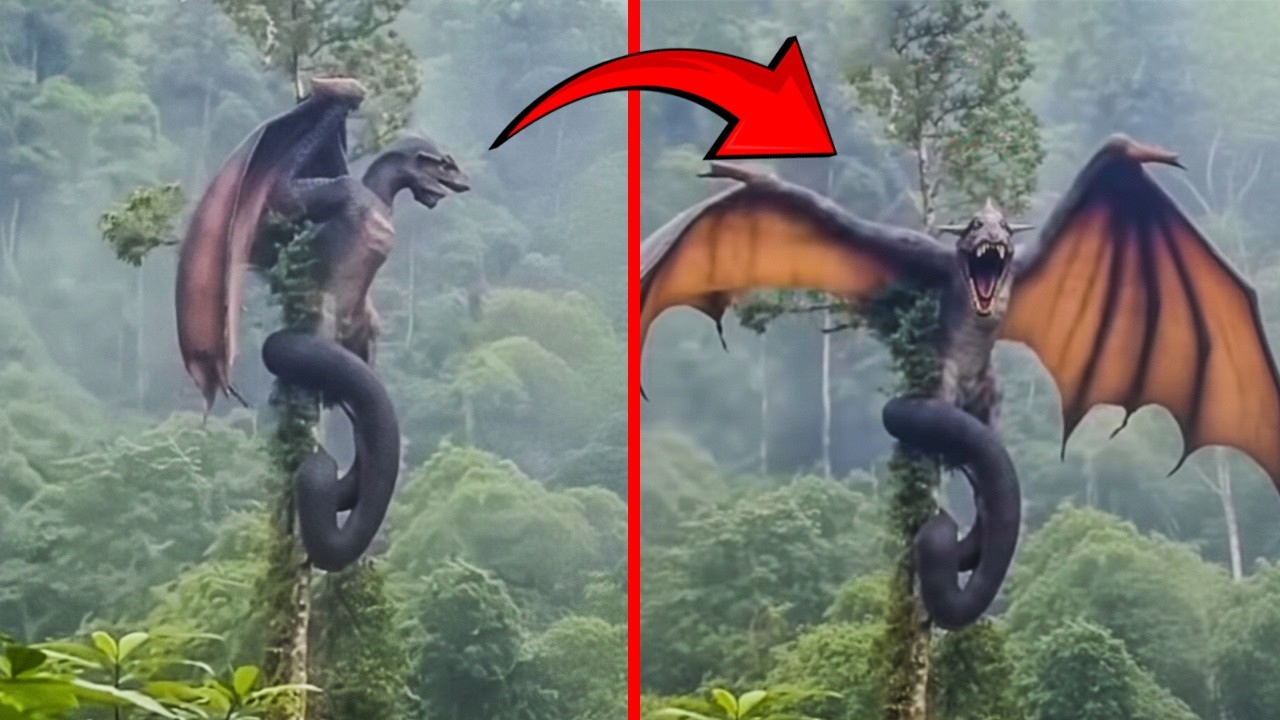 Mythical Creatures Caught On Camera! No One Believed They Existed Until They Were Filmed 