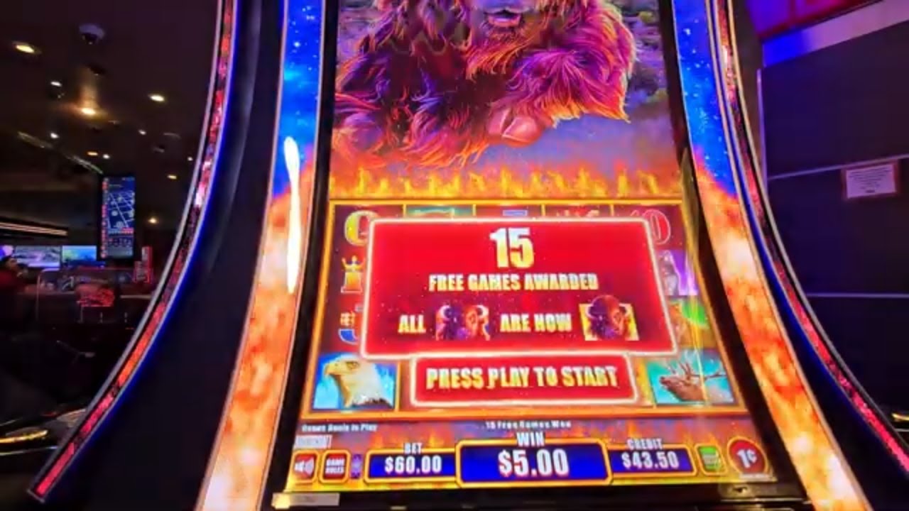 Купил бонус на Buffalo Power Pay в Plaza 