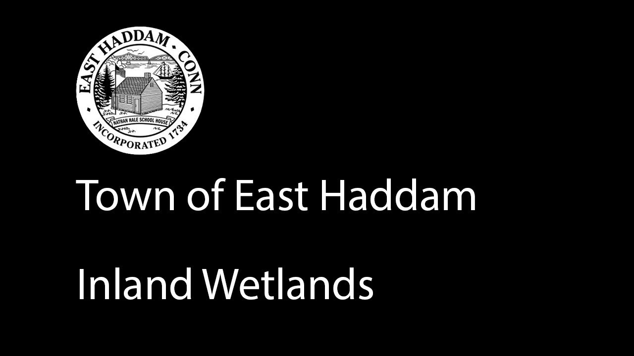 Inland Wetlands and Watercourses - 11.18.2025