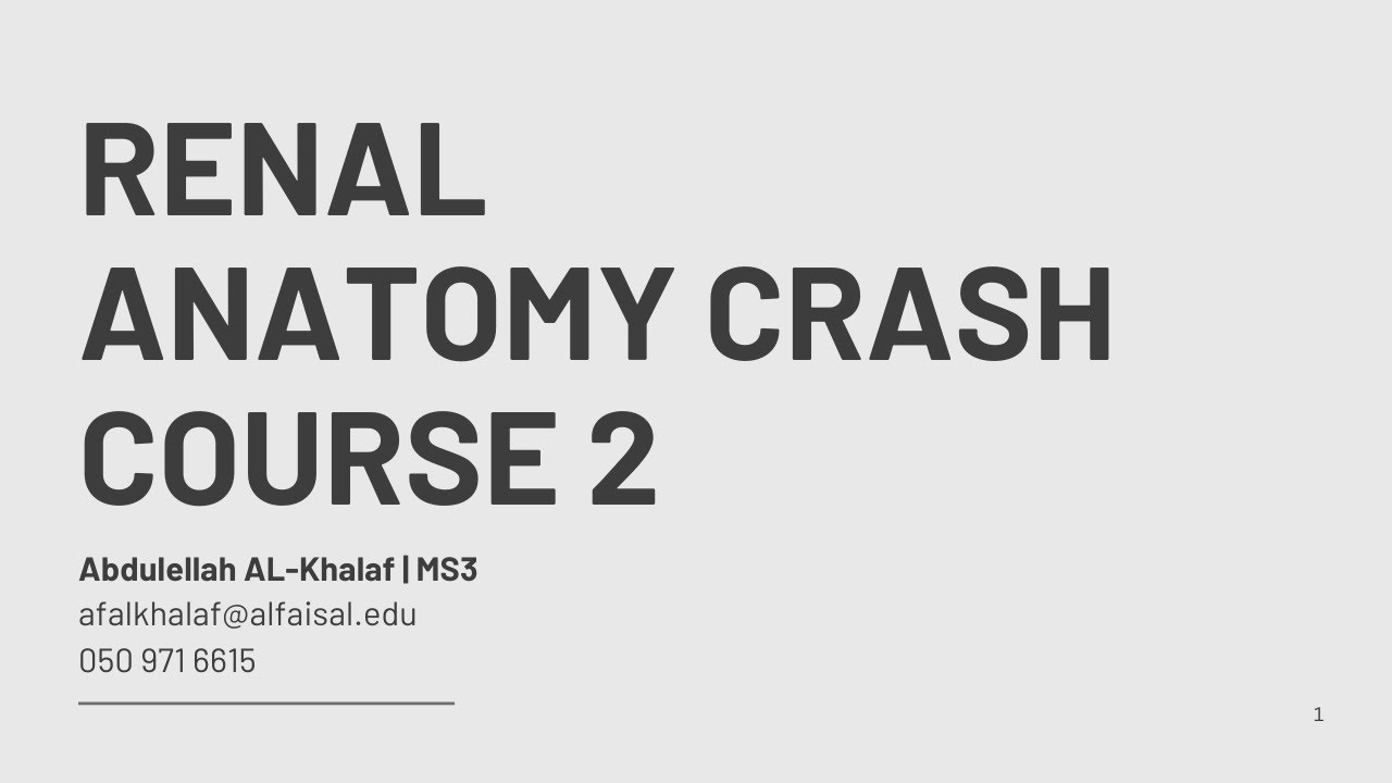 Renal Anatomy Crash Course Part 2 | Abdulellah Alkhalaf | REN 123