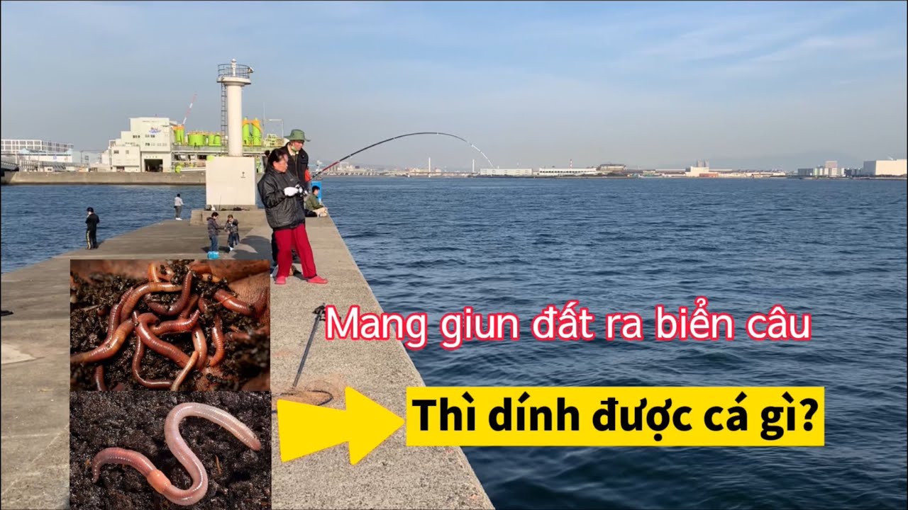 Mang giun đất ra biển câu thử nghiệm và cái kết | Gia Đình Cá Tráp