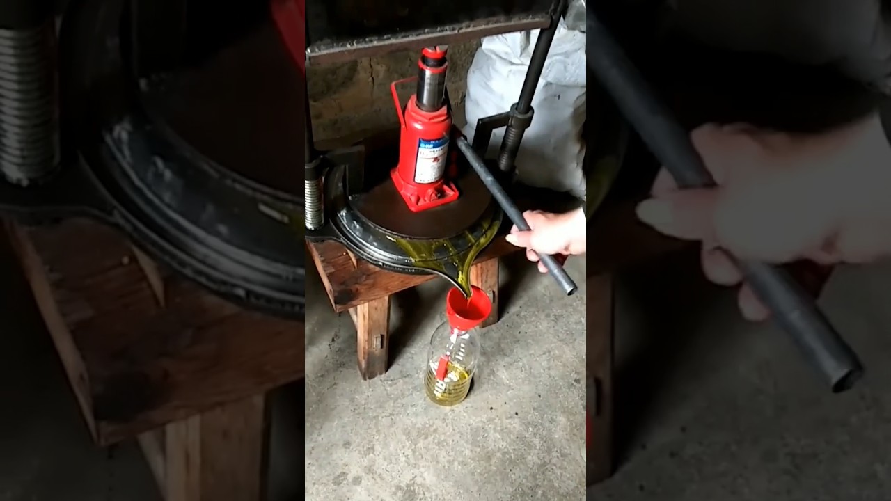 Process of extracting oil from mustard by hydraulic press