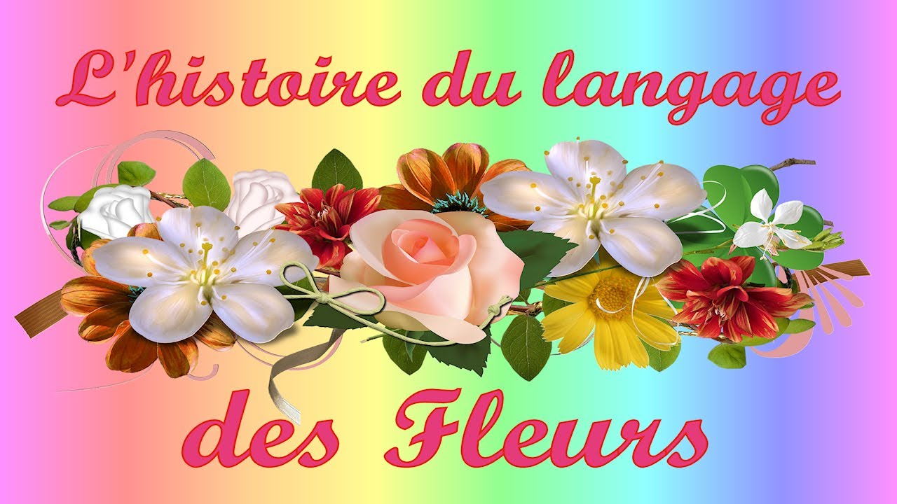 L'HISTOIRE DU LANGAGE DES FLEURS ET DU R&Ecirc;VE...