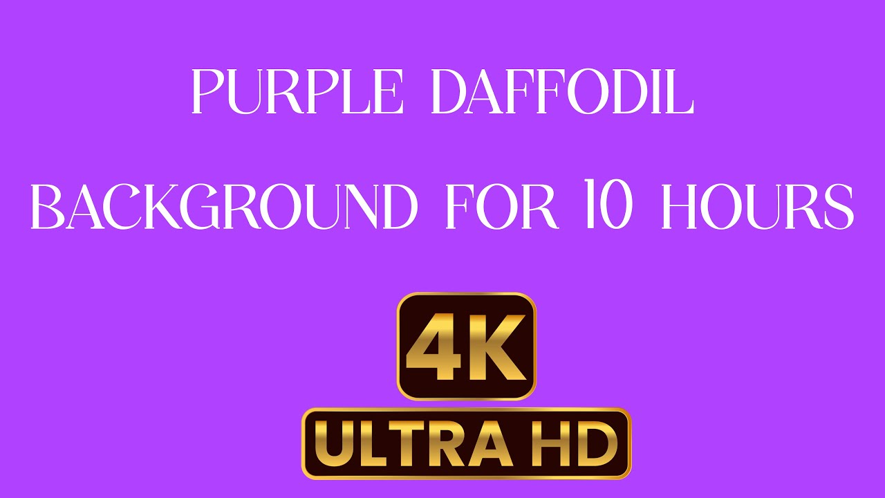 10 hours of Purple Daffodil Screen in 4K I Purple Daffodil 4K Ultra HD I Purple Daffodil Screen Save