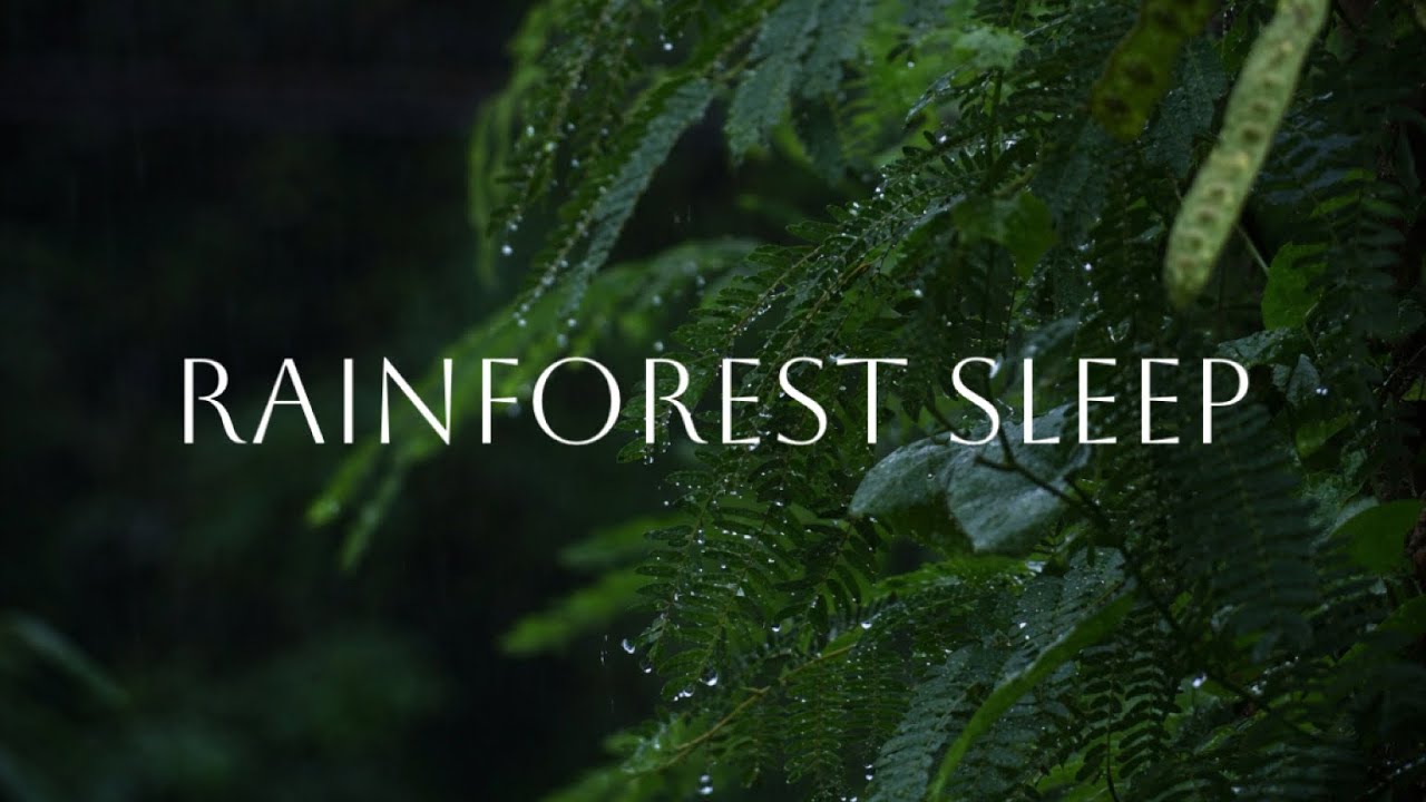 Heavy Rain to Sleep | Deep Rain Sounds for Relaxation & Sleep #sleepmusic #rainoundforsleep 