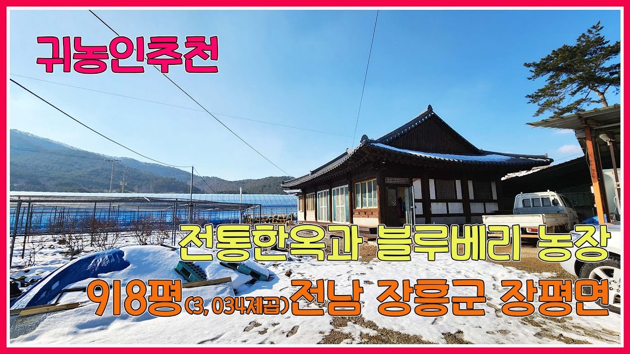 전통한옥과 블루베리 농장 / 귀농인 추천 / 918평(3,034제곱) / 전남 장흥군 장평면 / 농가매매 / 한옥매매 / 귀농귀촌 / 강산부동산 / 장흥농가매매 / 시골집