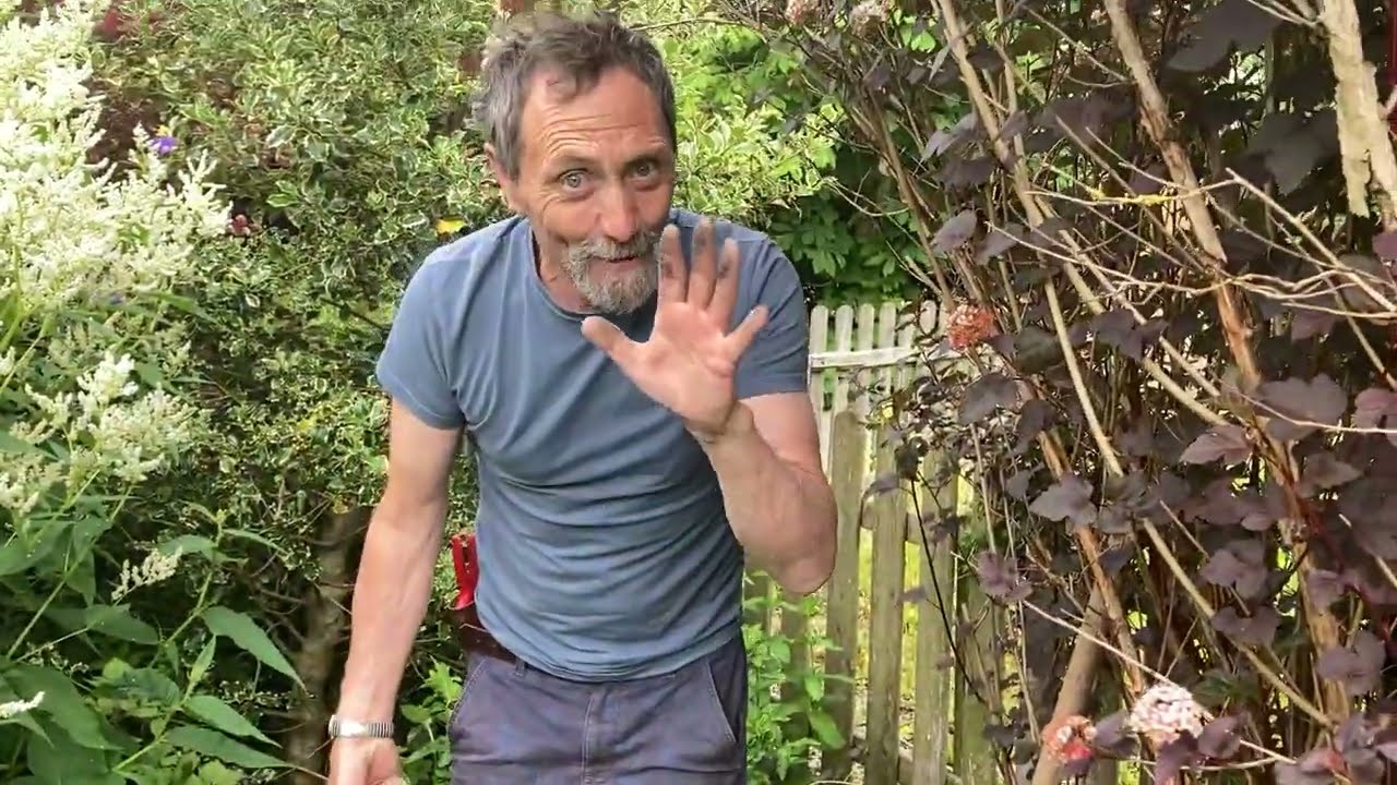 Как обращаться с кроликами и быть «эко-дружелюбным»!