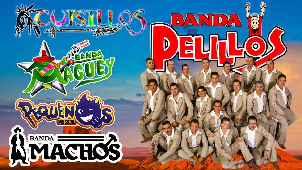 Pequeños Musical, Cuisillos, Machos, Maguey || Banda Viejitas Pero Bonitas Románticas del Recuerdo