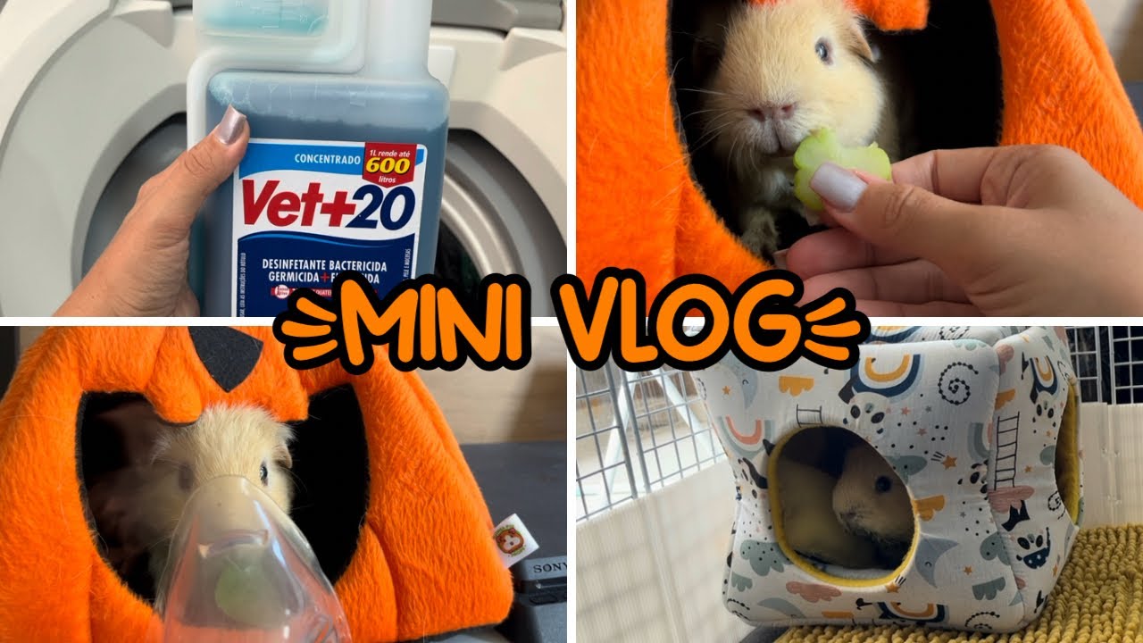 Vlog | Rotina | Cuidados