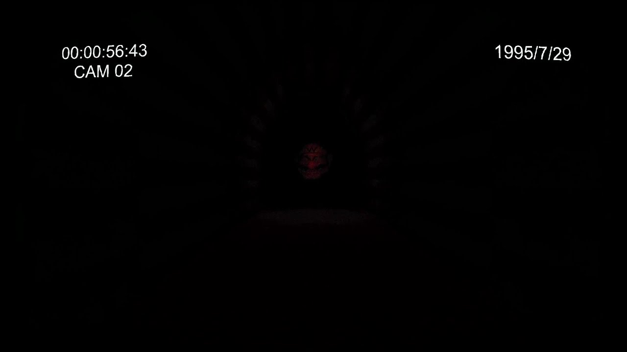 1995/7/29 - Wario apparition