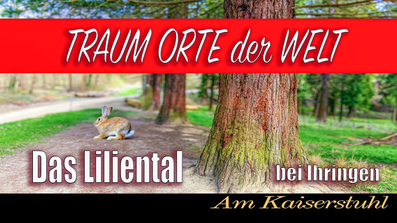 Liliental am Kaiserstuhl  #kaiserstuhl #liliental