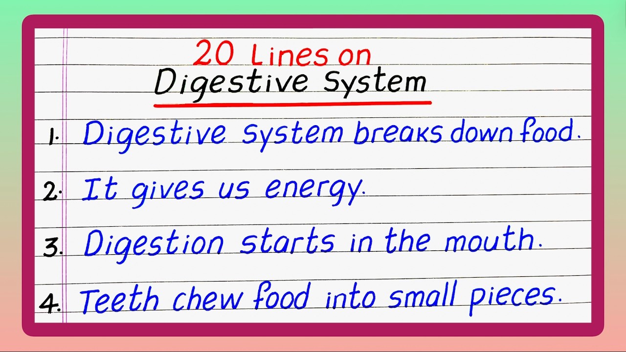 20 Lines on Digestive System | Write about Digestive System | Essay on Digestive System