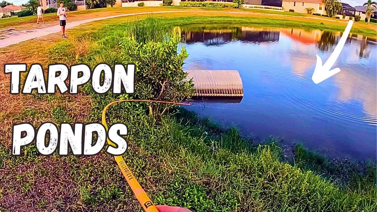 Brackish Ponds Loaded with Tarpon! | Charlotte Harbor Fisherman