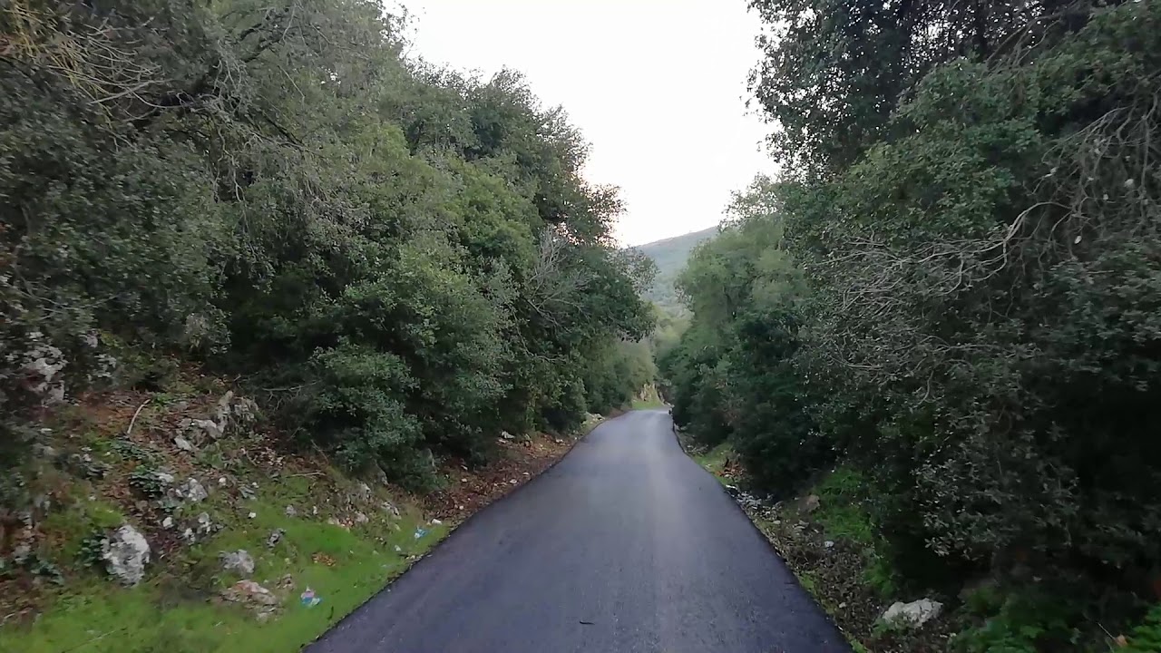 وادي بيرا في غابات برقش في لواء الكورة في شمال الاردن 1
