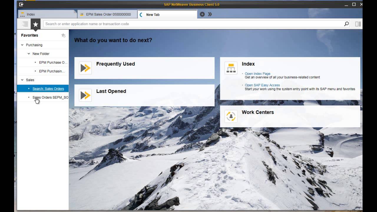 SAP NetWeaver Business Client 5.0