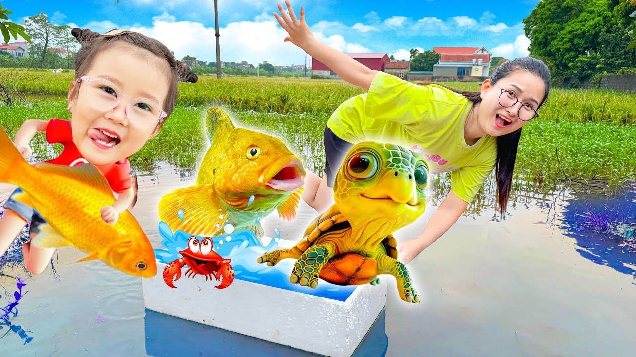 Changcady ra đồng ngày mưa, bắt được con cua, con cá, con ếch, con rùa khổng lồ
