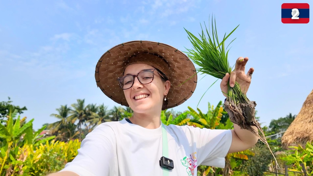Granjera por un día en LUANG PRABANG, Laos: del arrozal al plato 🌾🍚👩‍🌾