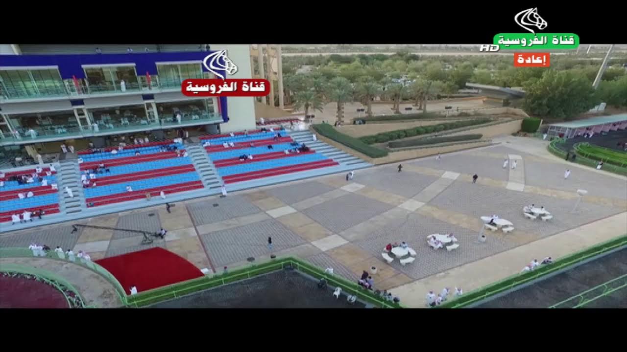 Frusiya Channel-1 بث مباشر من قناة الفروسية للمخرج ناصر محمد الصقيه