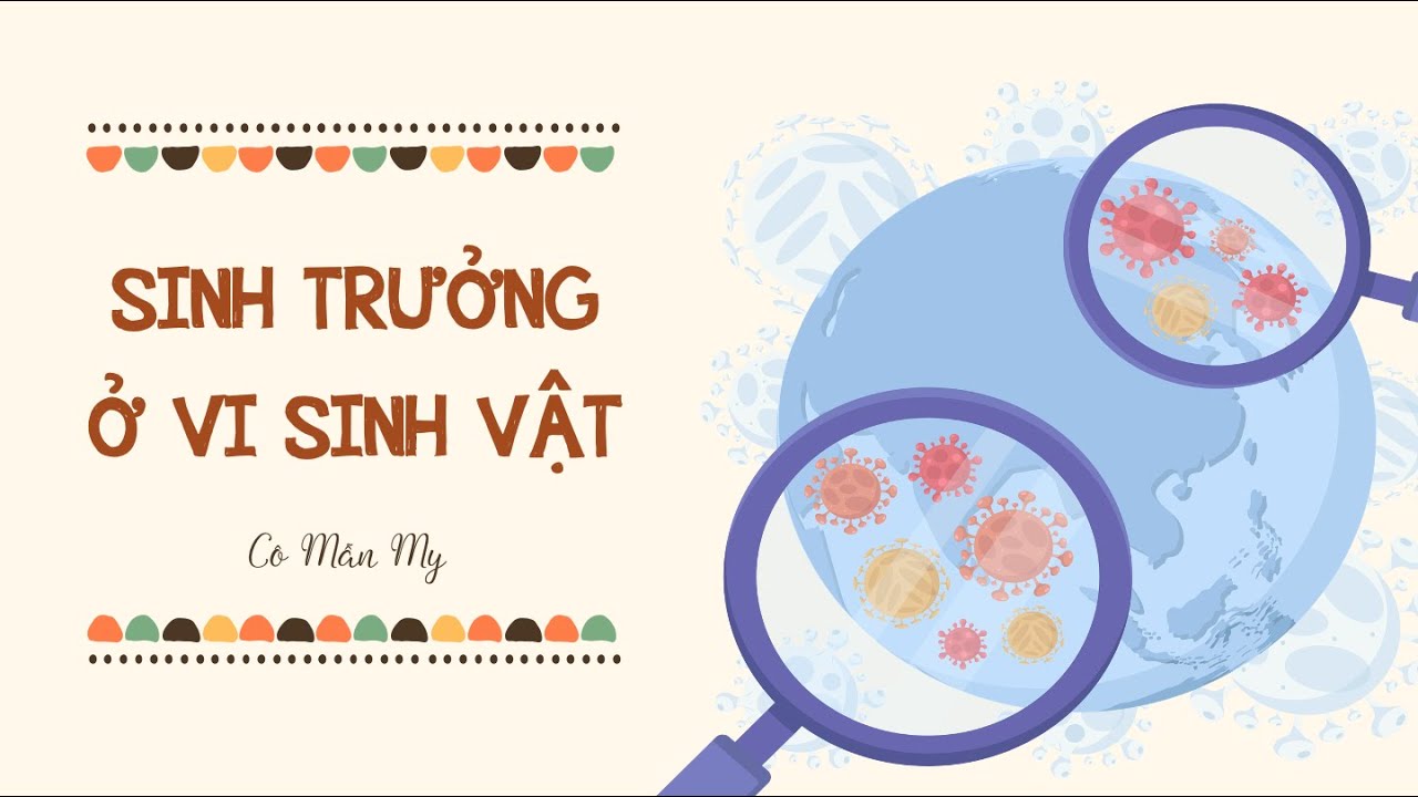 Sinh trưởng ở vi sinh vật - Sinh học 10 - OLM.VN