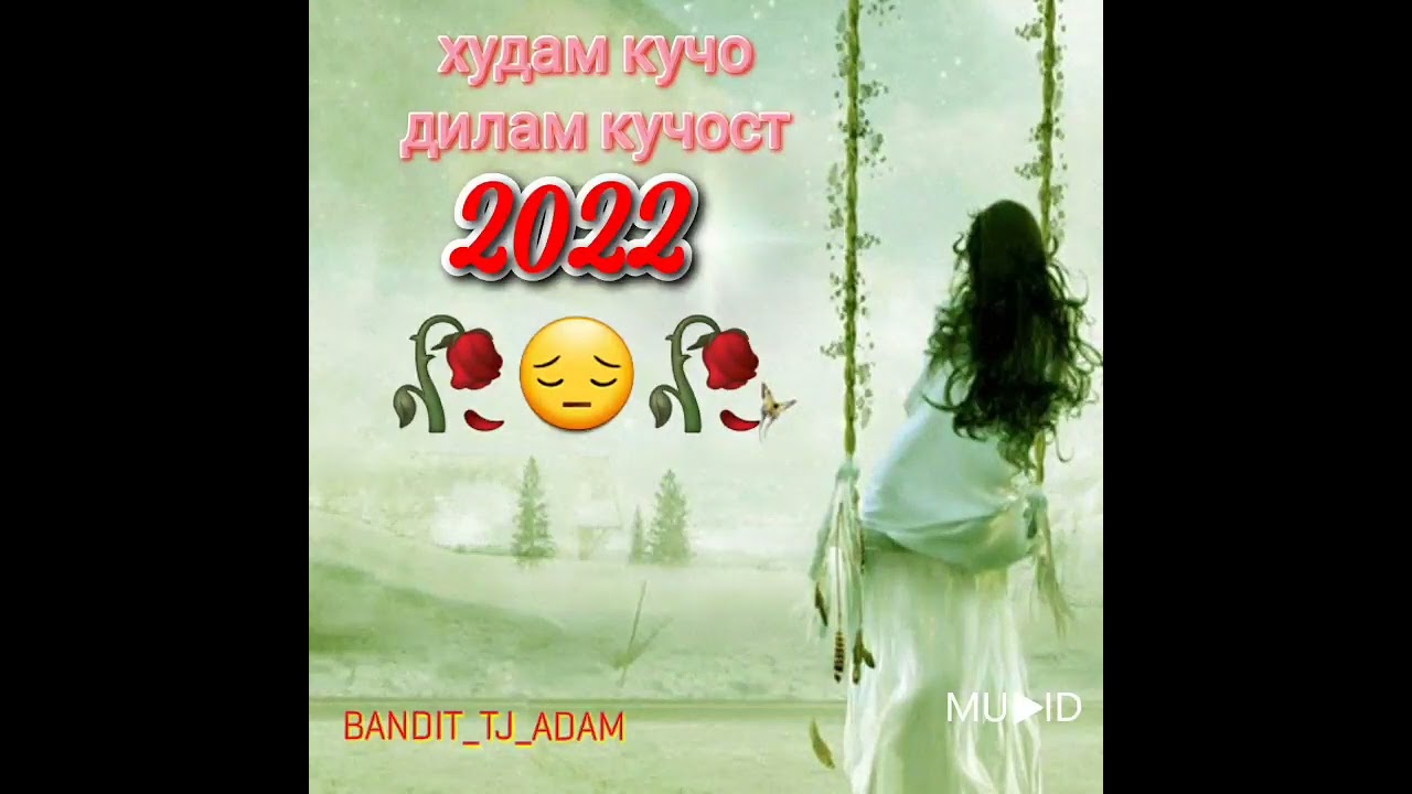 худам кучо дилам кучост 2022 эрони ошики