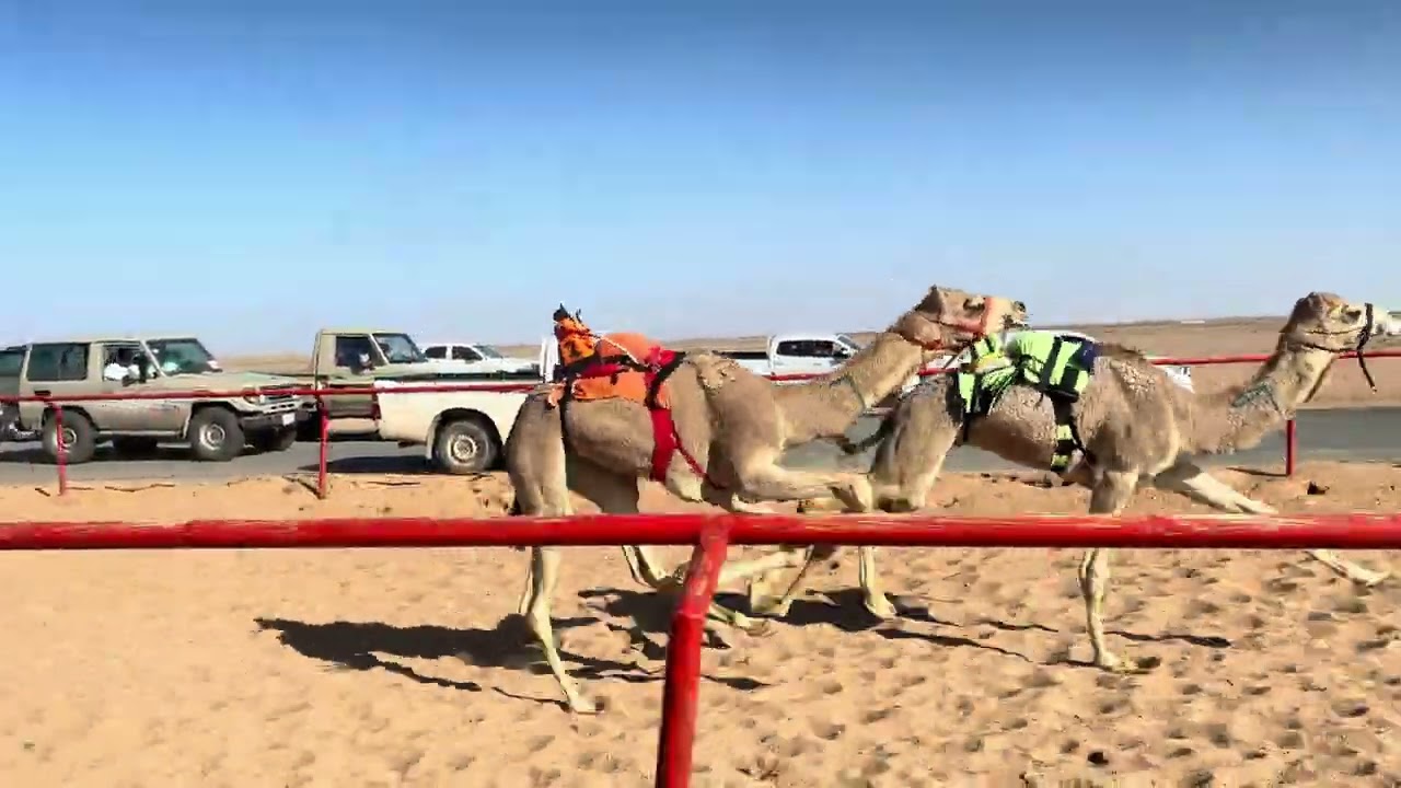 ش 10 قعدان مرموق ل فهد الجروح 
