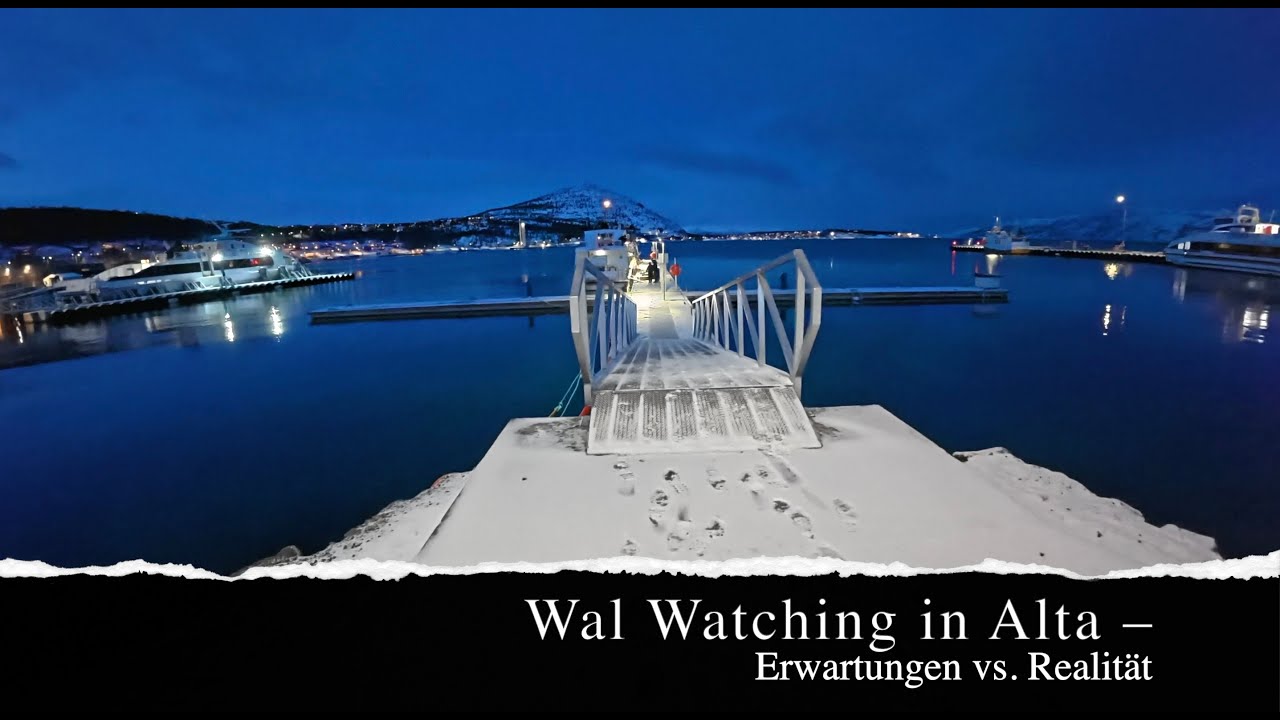 #223 Wal Watching in Alta – Erwartungen vs. Realität