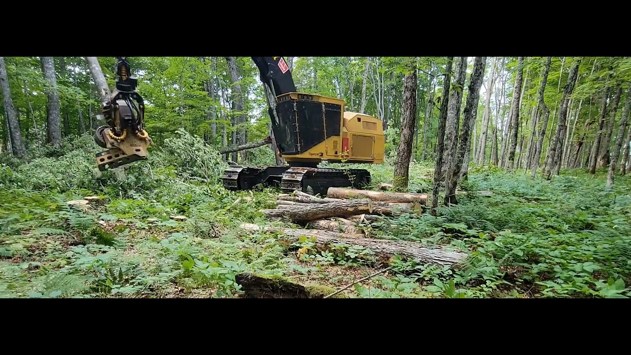 Tigercat 570