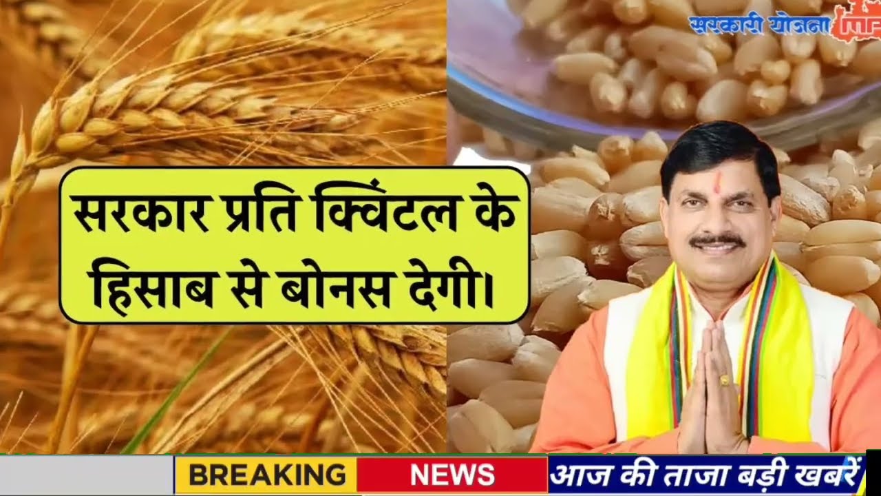 13 February 2026 | Madhya Pradesh News Today | Aaj Ki 25 Sabse Badi Khabrein | Breaking News Today