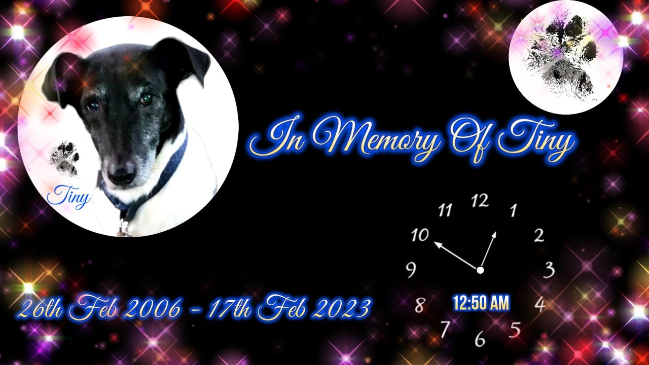 TINY'S MIX FOR YOUTUBE  3RD ANNIVERSARY