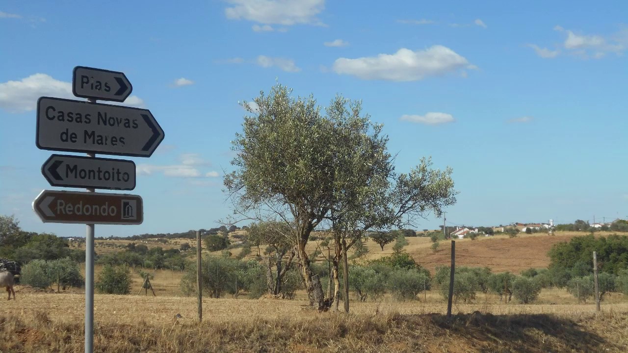 Casas Novas de Mares - Vítor Pisco