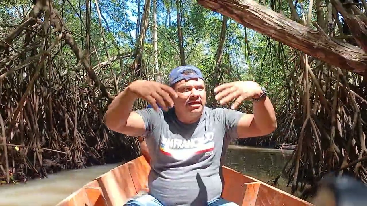 APARICIONES DEL MANGLAR