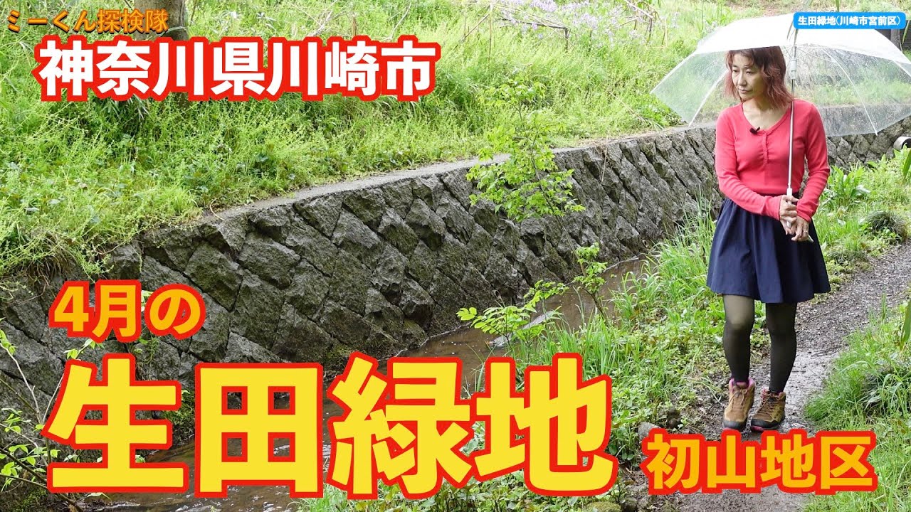 【川崎の公園】生田緑地で里山歩き　初山地区「とんもり谷戸」を歩く