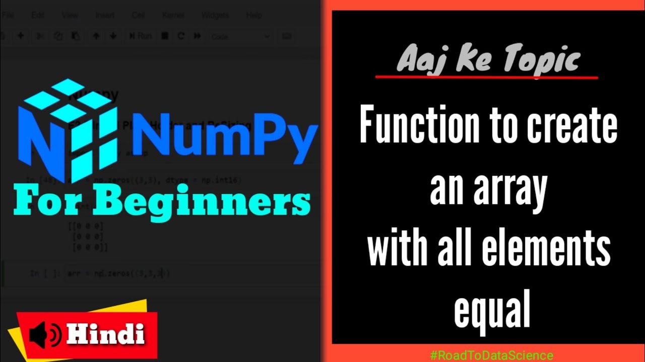 E2.2: Initial Placeholder in an Array | Numpy in Hindi | Road to Data Science