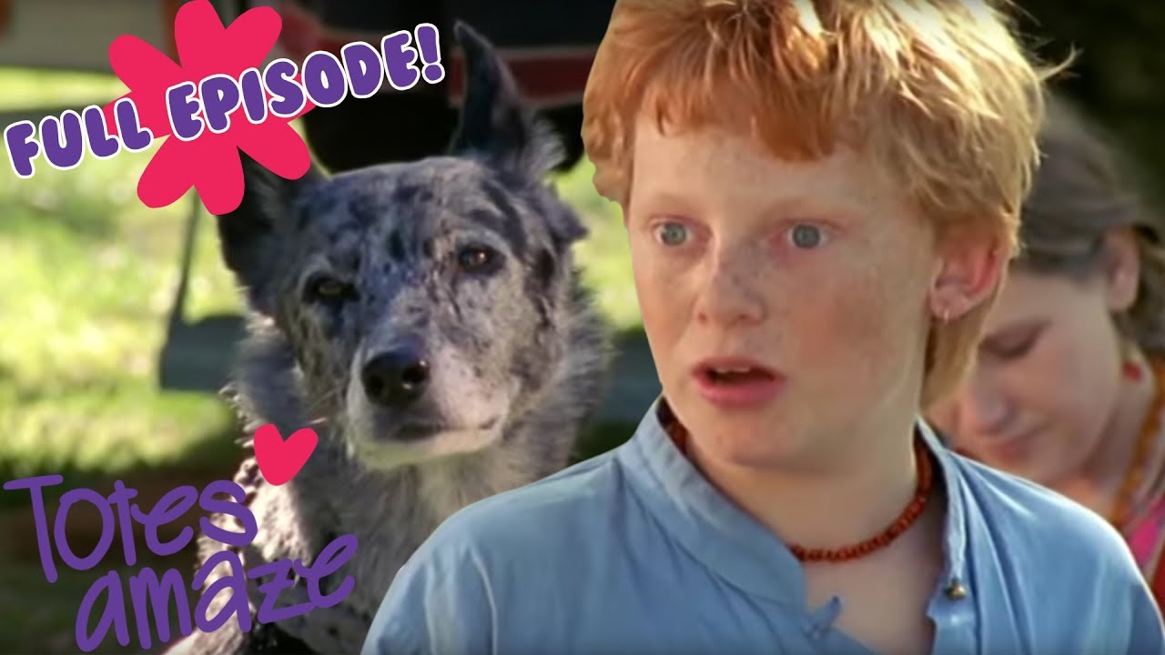 On The Edge | Snob S1 EP8 | Teen Drama Full Episodes 😱💖