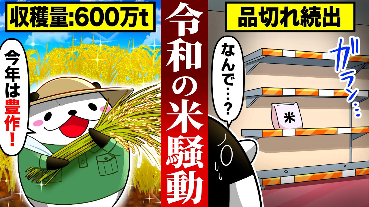 【令和の米騒動】豊作なのに米の品切れが続出した驚きの理由とは【アニメ】