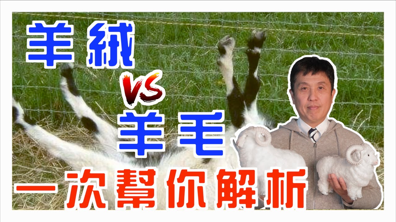 聚酯纖維?羊絨?羊毛?Cashmere?到底差在哪～?Paul一次幫你盲測解析