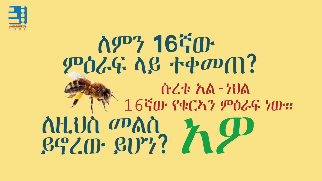 ተአምረኛዋ ንብና ቁርአን || የቁርአን ተዓምር || The amazing Bee and the Quran || 