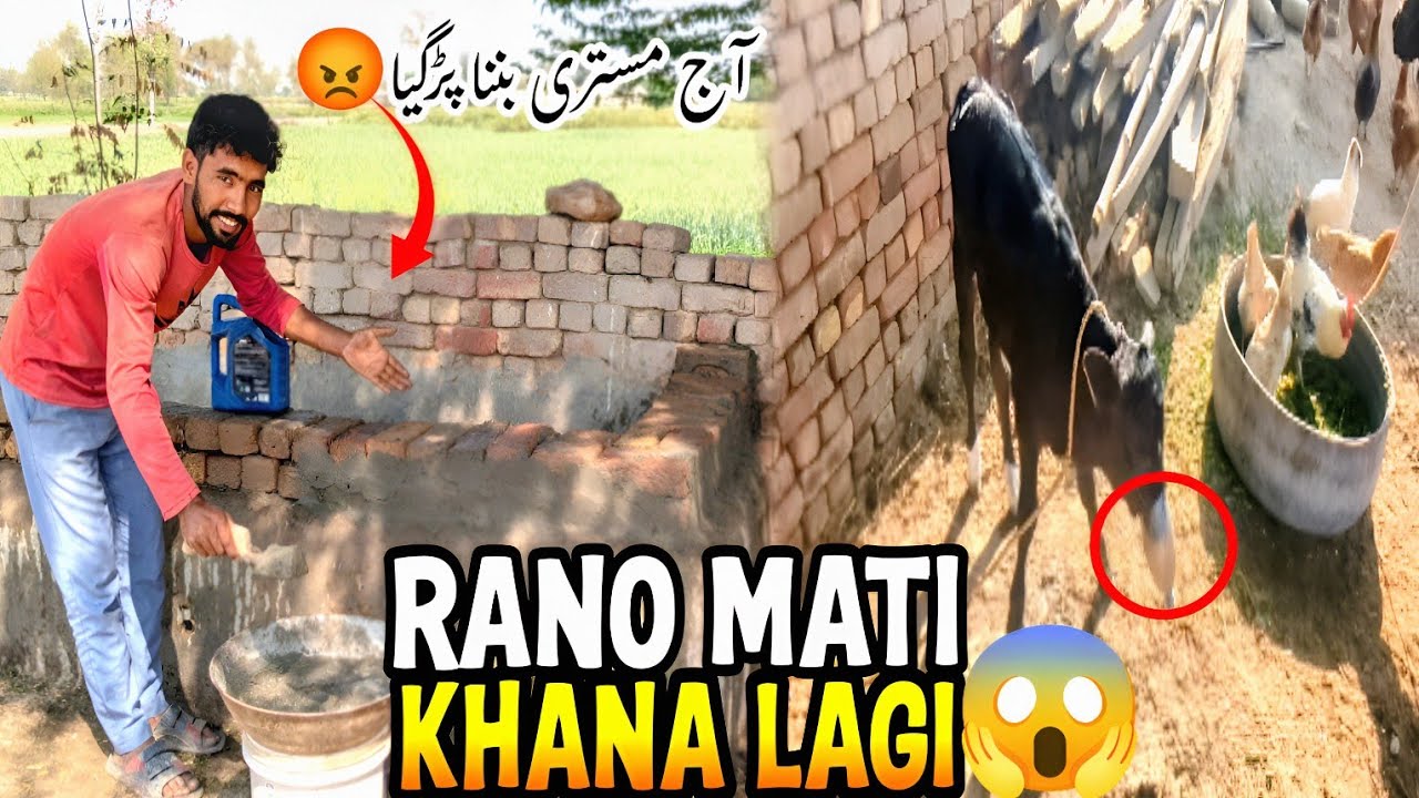 Rano🐄 Na Mati Khani Shuro Kardi 😱 Ab Kya Hoga | ایک دن کے لیے مستری بننا پڑگیا 😡