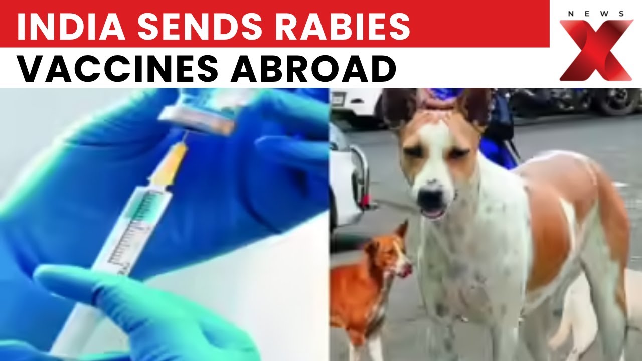 India Sends 10,000 Rabies Vaccine Doses to Timor-Leste | 2,000 Vials Dispatched | NewsX