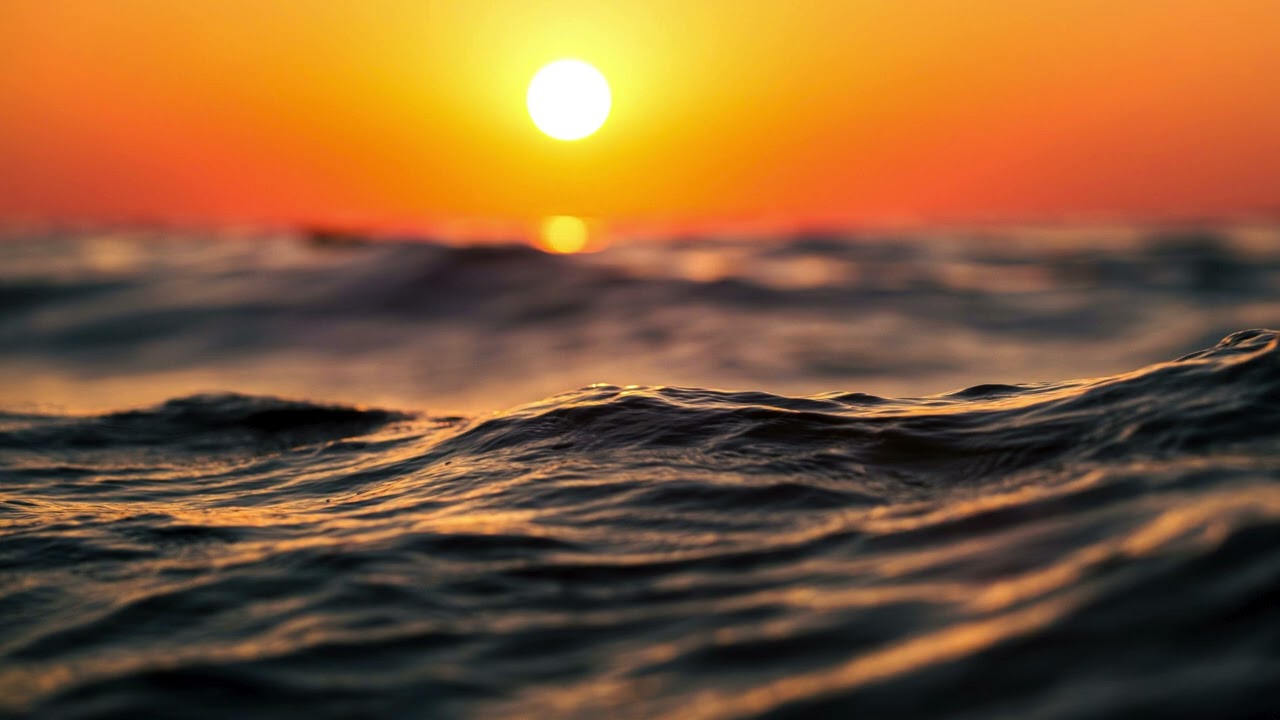 CoveBeats – Heartbeat 🔊 | Deep House | Beach Club Track