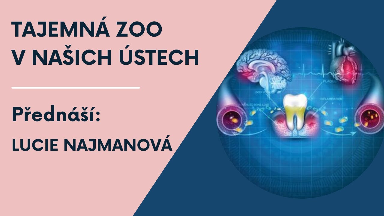 Mikrobiom a my: Tajemná ZOO v našich ústech