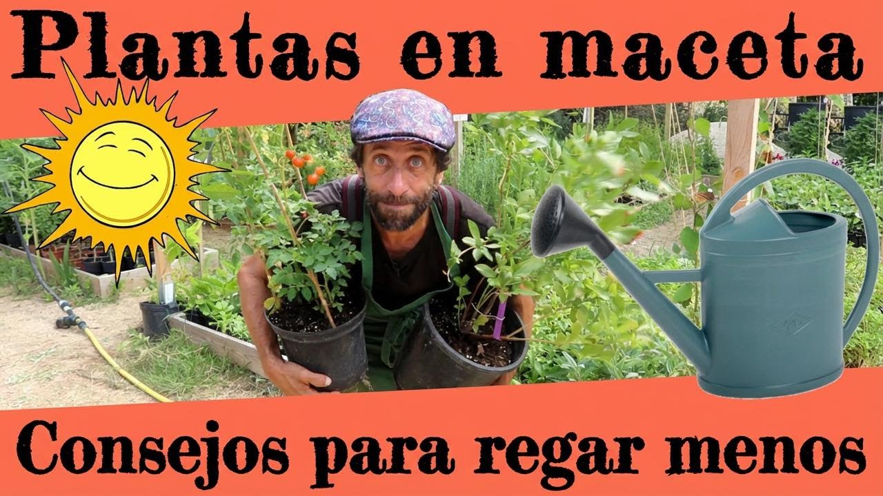Macetas en casa: trucos para regar tus plantas en verano