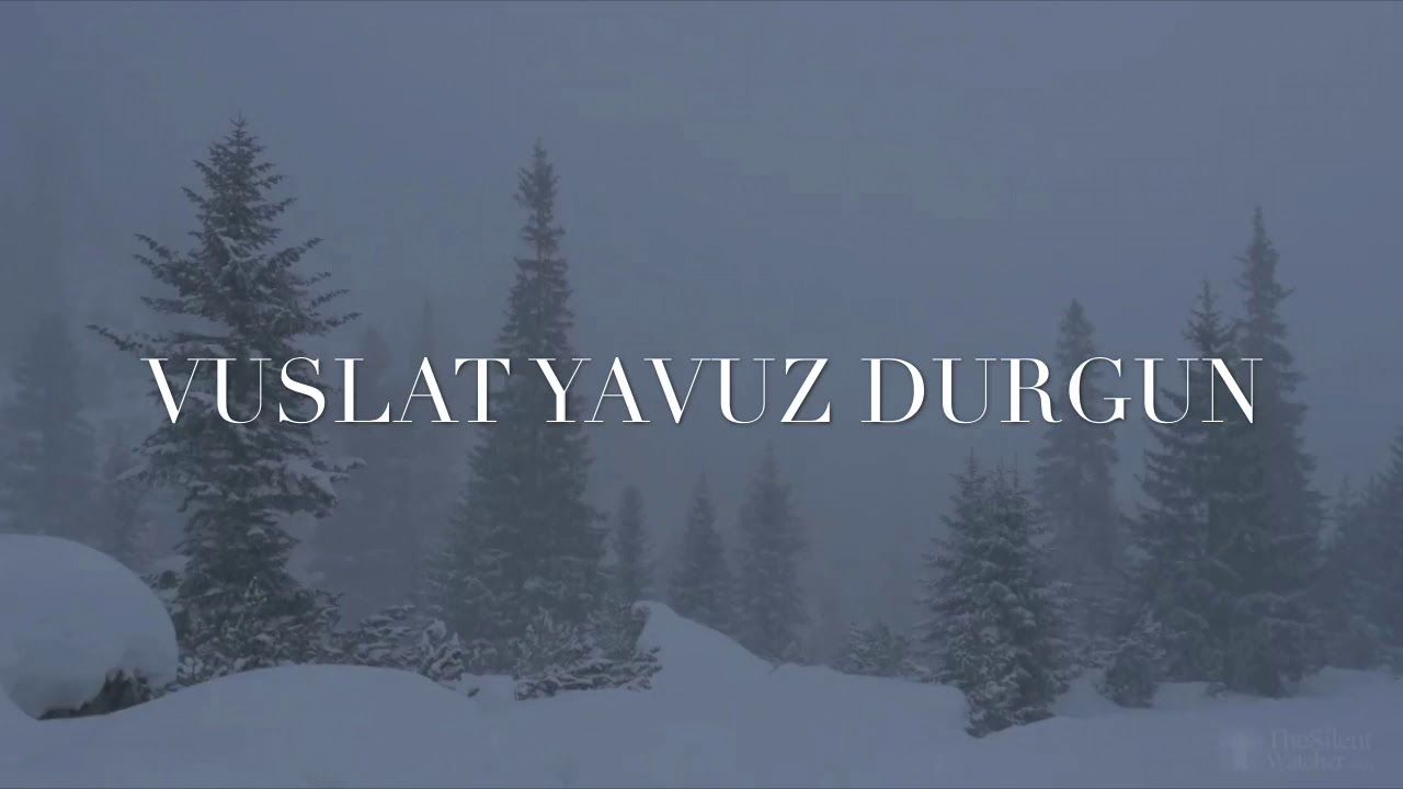 VUSLAT - SEVME - 2020