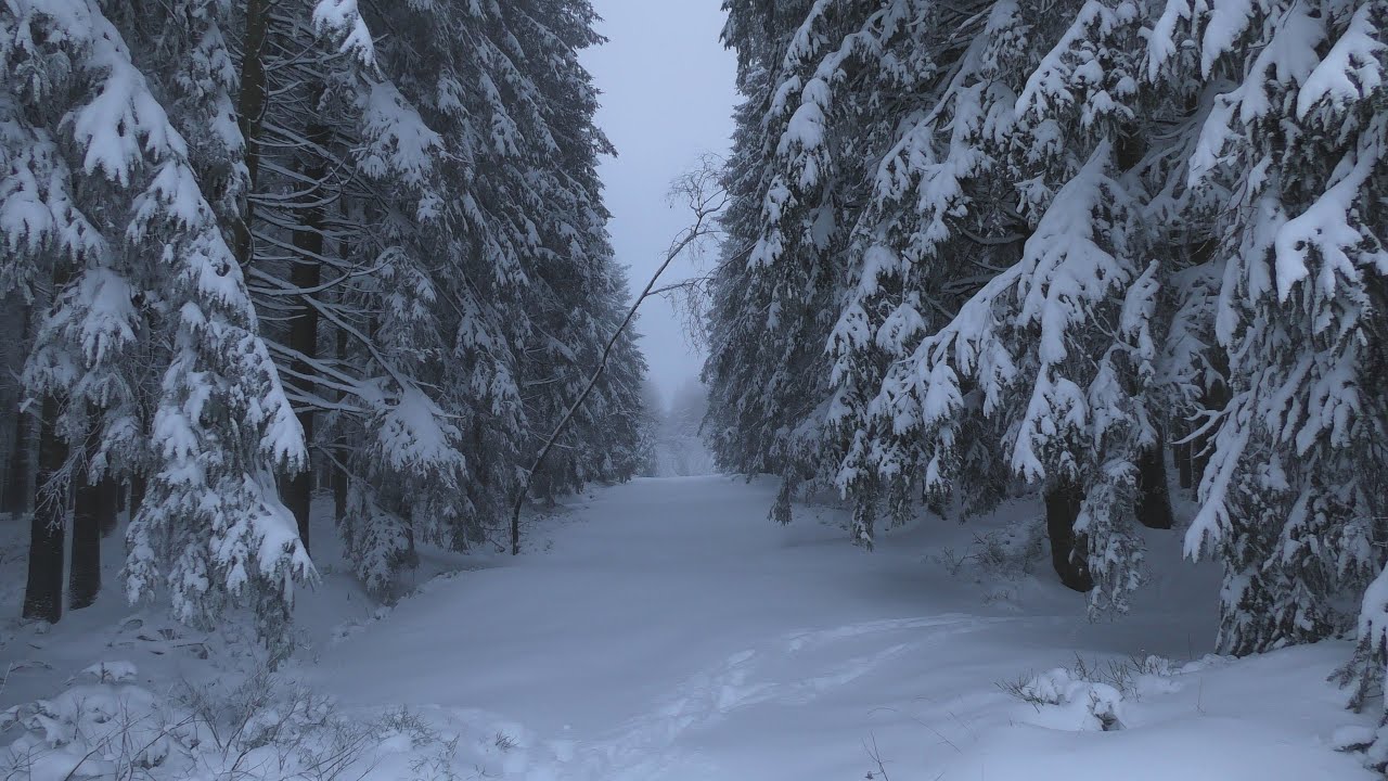 Wandeling in de sneeuw in het Winter Wonderland in de Ardennen in België! - 10/01/2026