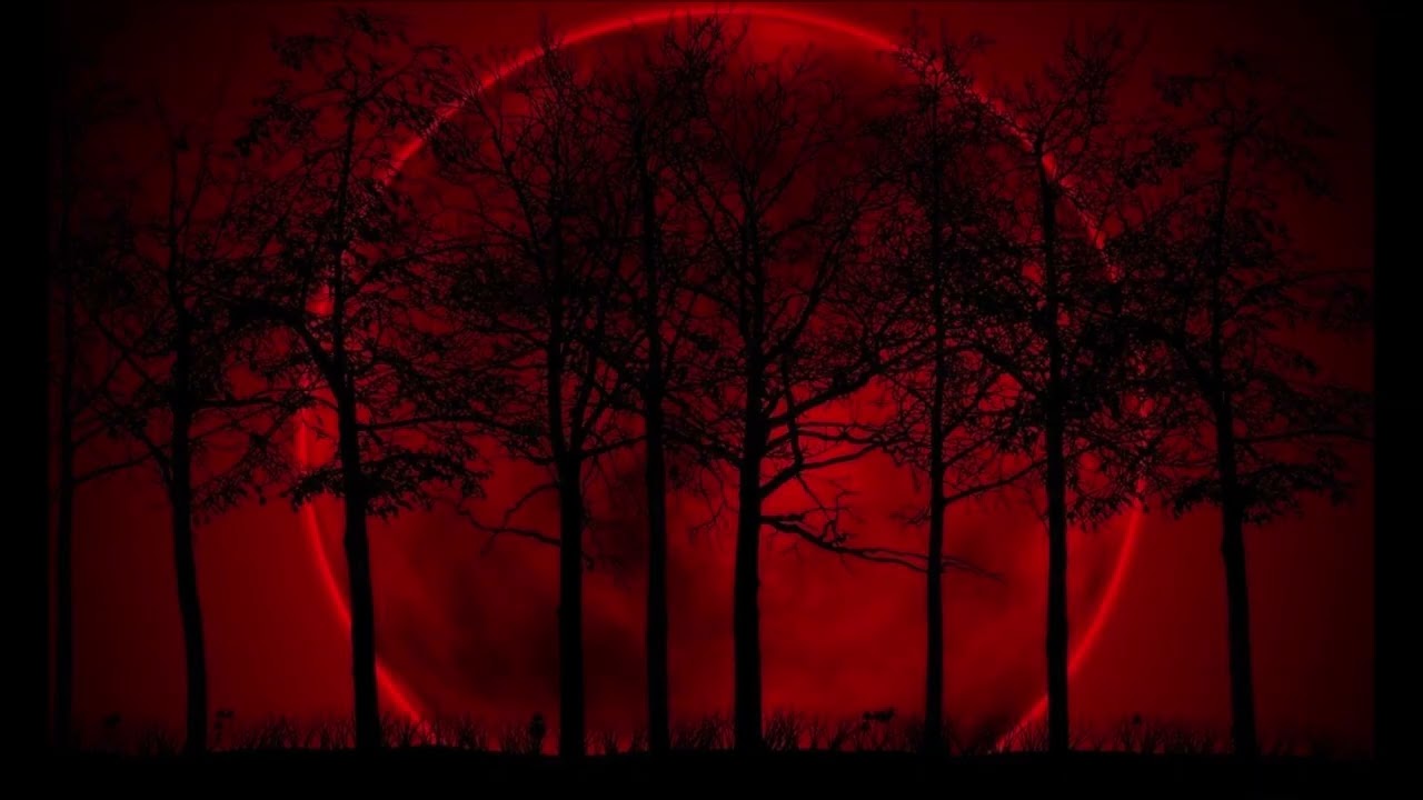 Darkpsy/Twilight/Nightpsy Mix 2025 [Dark Night Hallucination Part #12 Mixed by Dysomnia]