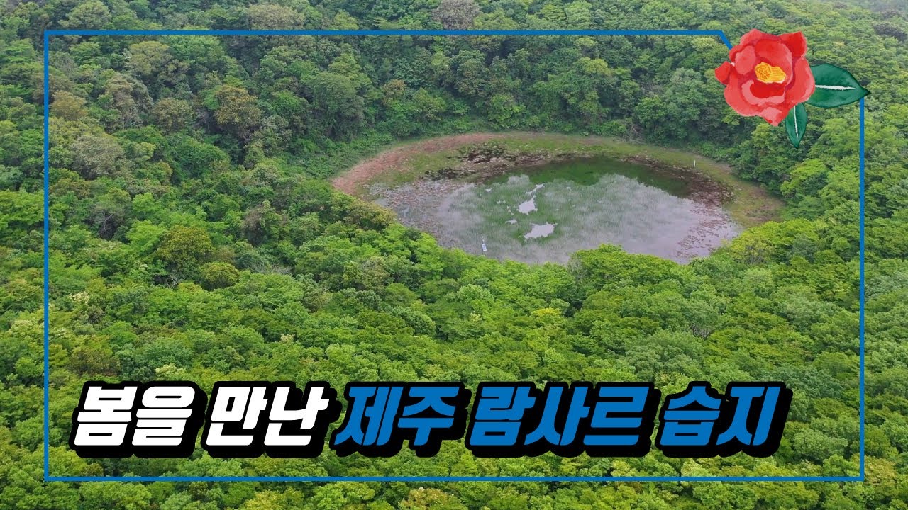 방구석에서 만나는 제주 봄여행 | 봄을 만난 제주 람사르 습지의 특별한 이야기