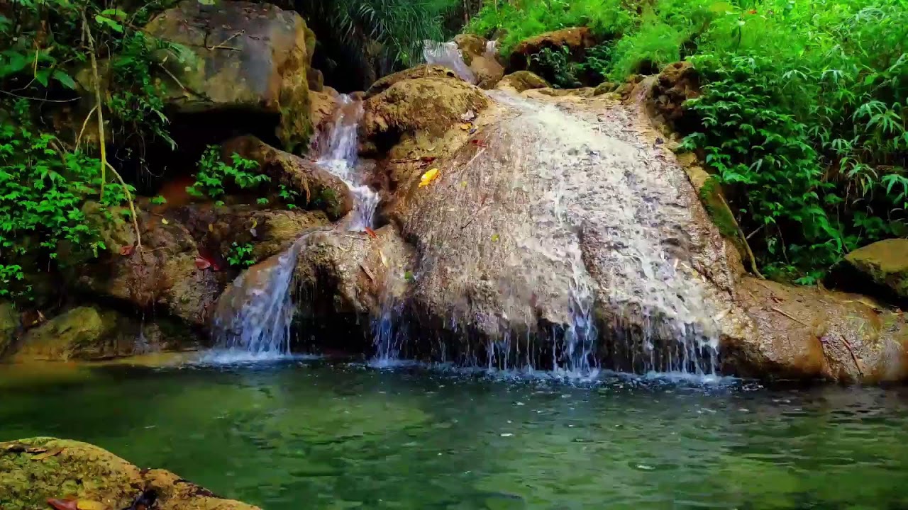 Peaceful River Ambience to Heal Your Mind, Relieve Stress and Sleep Better
