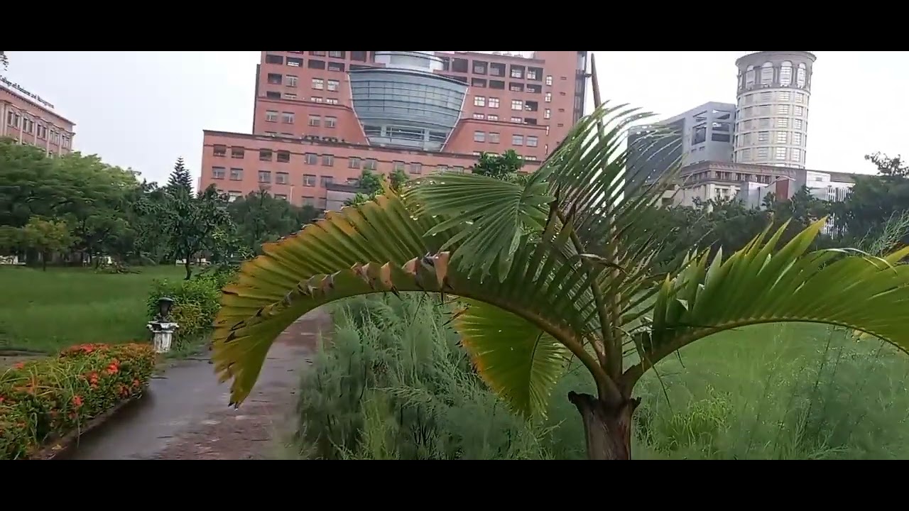 Kunsha University Campus-Taiwan|Campus-ka Jaamacada Kunshan